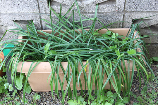 f:id:takahikonojima:20180404124434j:plain