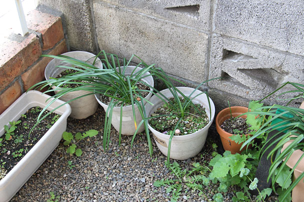 f:id:takahikonojima:20180407092537j:plain