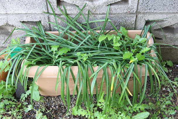 f:id:takahikonojima:20180407092747j:plain