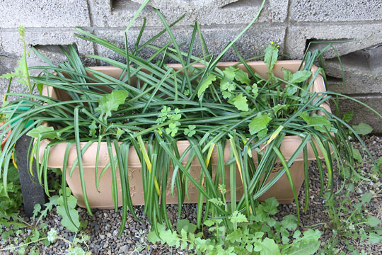 f:id:takahikonojima:20180414173927j:plain