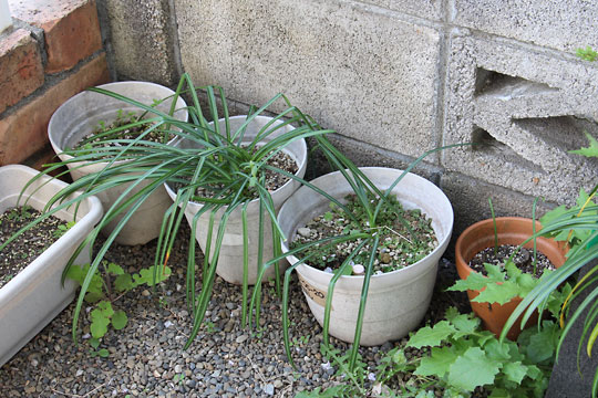 f:id:takahikonojima:20180414173936j:plain