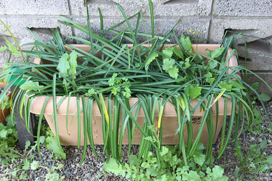 f:id:takahikonojima:20180414173943j:plain