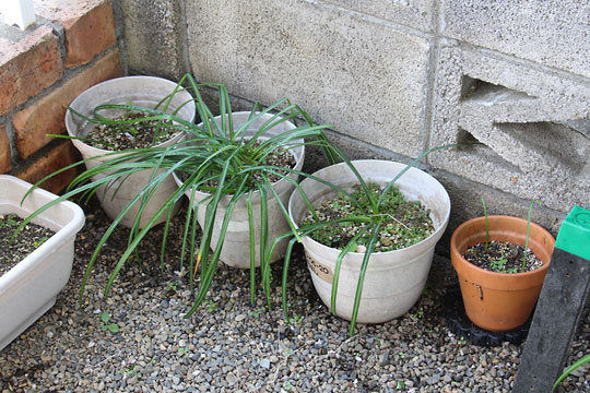 f:id:takahikonojima:20180414173949j:plain