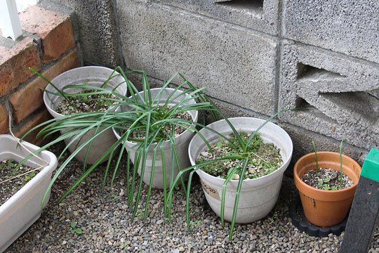 f:id:takahikonojima:20180414174001j:plain