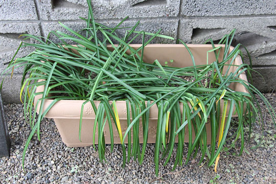 f:id:takahikonojima:20180414174009j:plain