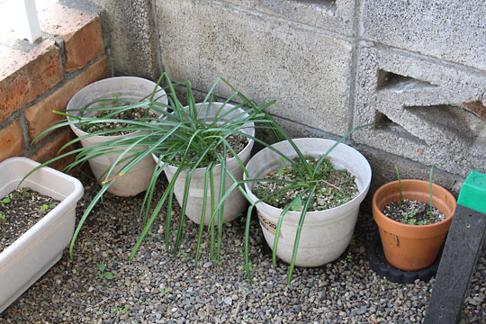 f:id:takahikonojima:20180414174015j:plain