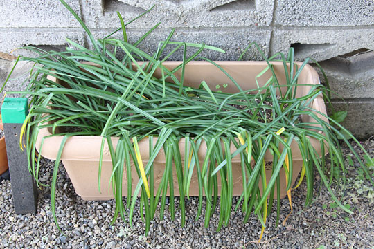 f:id:takahikonojima:20180414174023j:plain