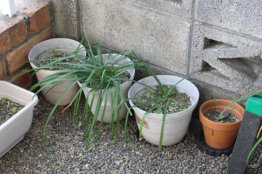 f:id:takahikonojima:20180414174031j:plain