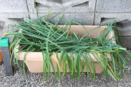 f:id:takahikonojima:20180414174037j:plain