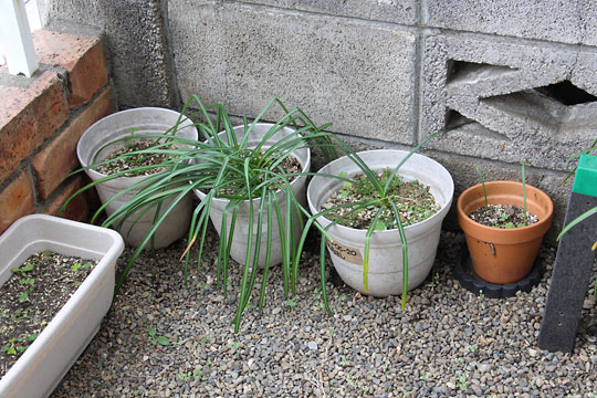 f:id:takahikonojima:20180414174044j:plain