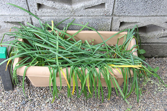 f:id:takahikonojima:20180414174050j:plain