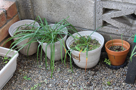 f:id:takahikonojima:20180426134516j:plain