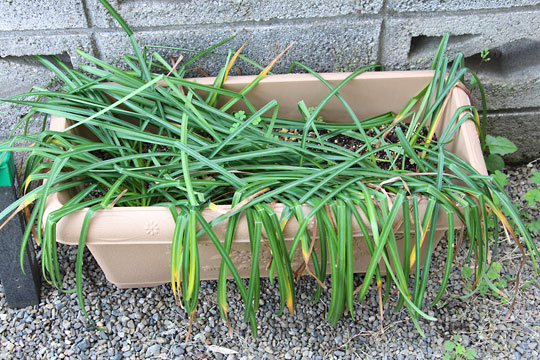 f:id:takahikonojima:20180426134522j:plain