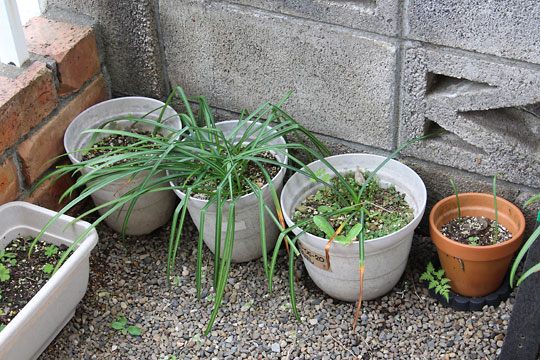 f:id:takahikonojima:20180426134528j:plain