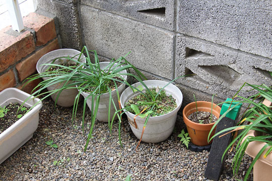 f:id:takahikonojima:20180426134539j:plain