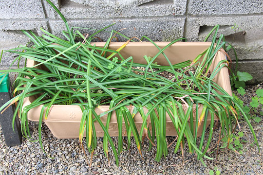 f:id:takahikonojima:20180426134545j:plain