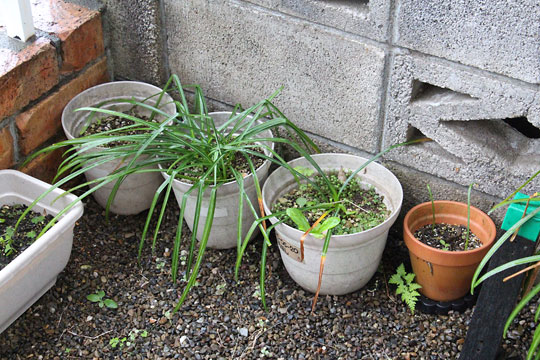 f:id:takahikonojima:20180426134550j:plain