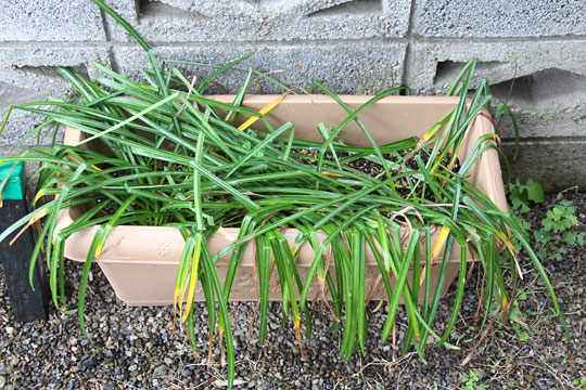 f:id:takahikonojima:20180426134556j:plain