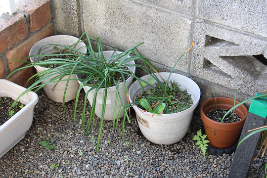 f:id:takahikonojima:20180426134602j:plain