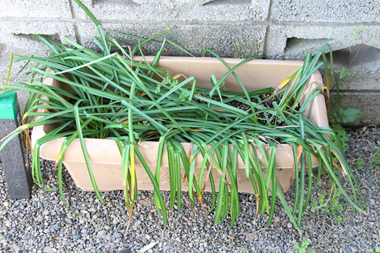 f:id:takahikonojima:20180426134609j:plain