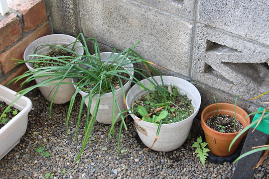 f:id:takahikonojima:20180429095932j:plain