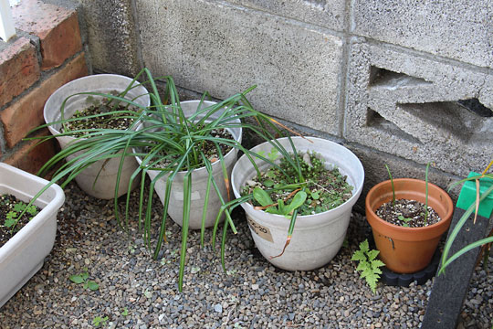 f:id:takahikonojima:20180429100129j:plain