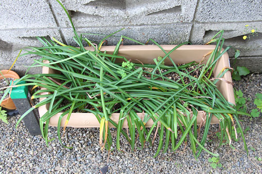 f:id:takahikonojima:20180503114707j:plain