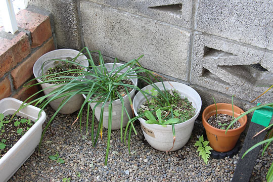 f:id:takahikonojima:20180503114713j:plain