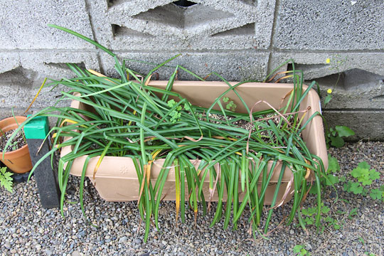 f:id:takahikonojima:20180503114718j:plain