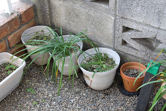 f:id:takahikonojima:20180503114724j:plain