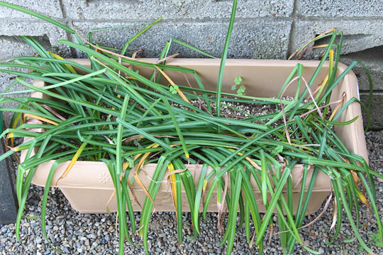 f:id:takahikonojima:20180503114730j:plain