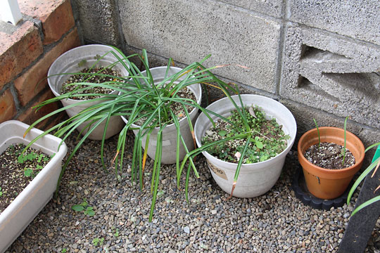 f:id:takahikonojima:20180503114738j:plain