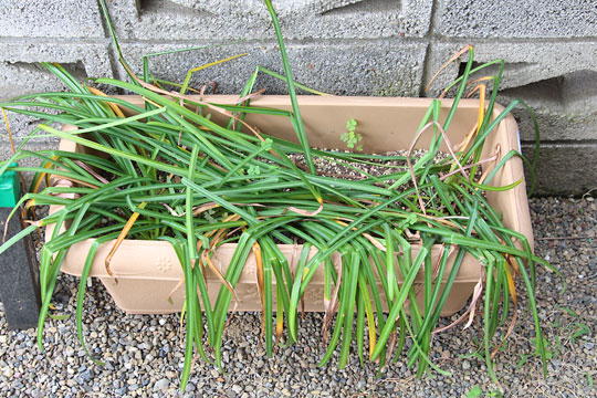 f:id:takahikonojima:20180503114744j:plain