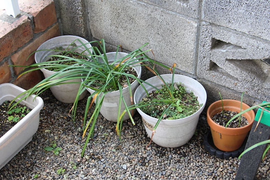 f:id:takahikonojima:20180505091242j:plain