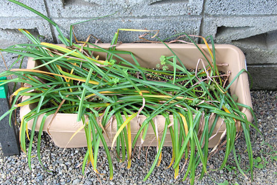 f:id:takahikonojima:20180505091248j:plain