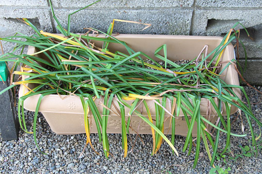 f:id:takahikonojima:20180505091303j:plain