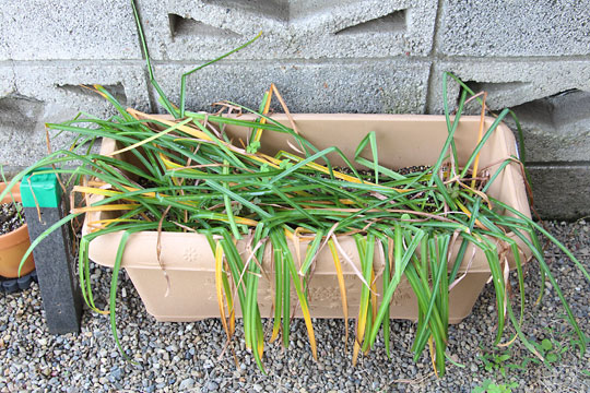 f:id:takahikonojima:20180512121029j:plain