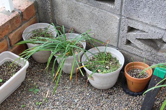 f:id:takahikonojima:20180512121038j:plain