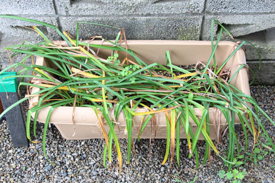 f:id:takahikonojima:20180512121103j:plain