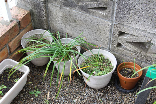 f:id:takahikonojima:20180512121122j:plain