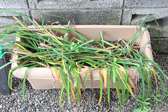 f:id:takahikonojima:20180512121128j:plain