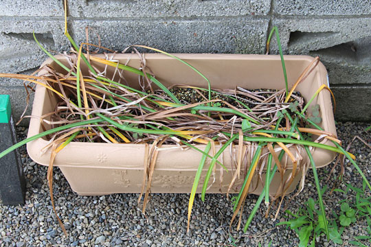 f:id:takahikonojima:20180526210251j:plain