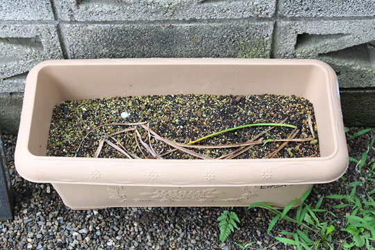 f:id:takahikonojima:20180617155933j:plain