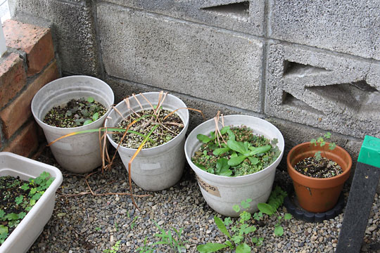 f:id:takahikonojima:20180617160000j:plain