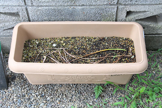 f:id:takahikonojima:20180617160009j:plain