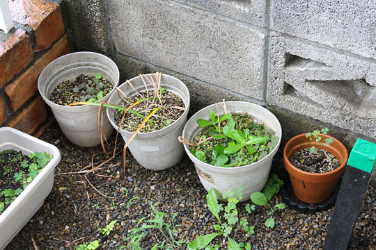 f:id:takahikonojima:20180617160033j:plain