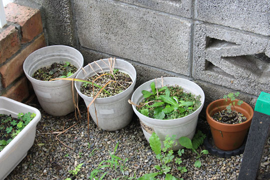 f:id:takahikonojima:20180624101647j:plain