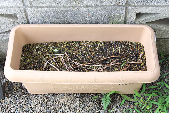 f:id:takahikonojima:20180624101713j:plain