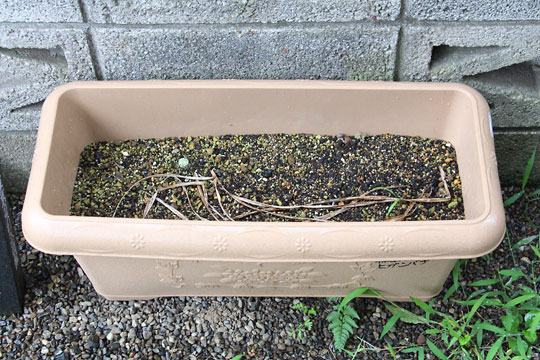 f:id:takahikonojima:20180624101730j:plain