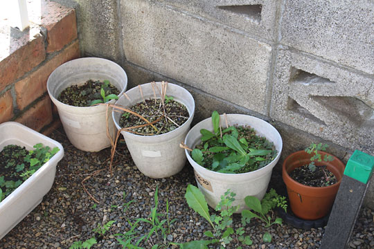 f:id:takahikonojima:20180624101914j:plain